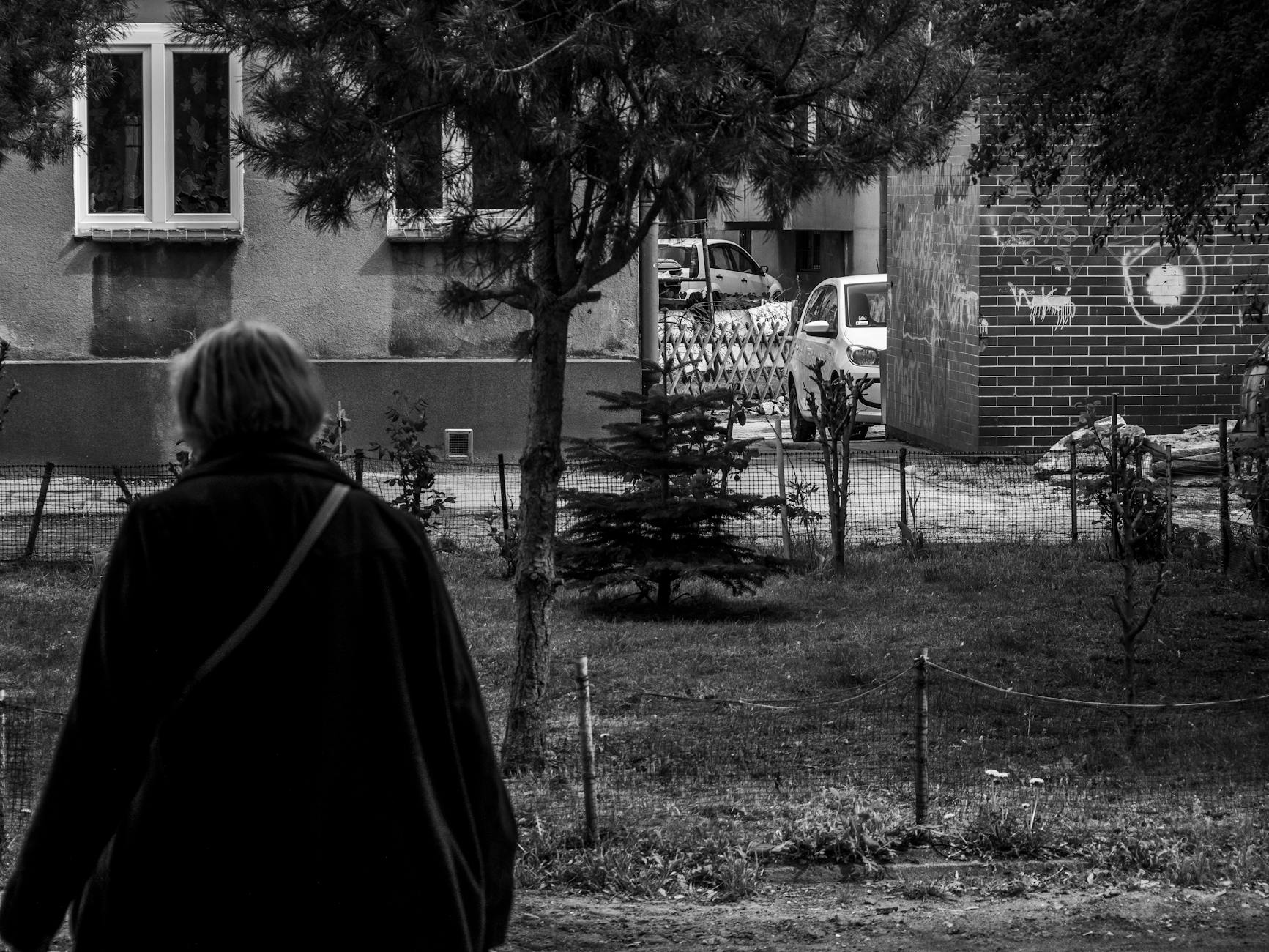 Panorama miasta Lipno z rzeką i zabytkowymi budynkami