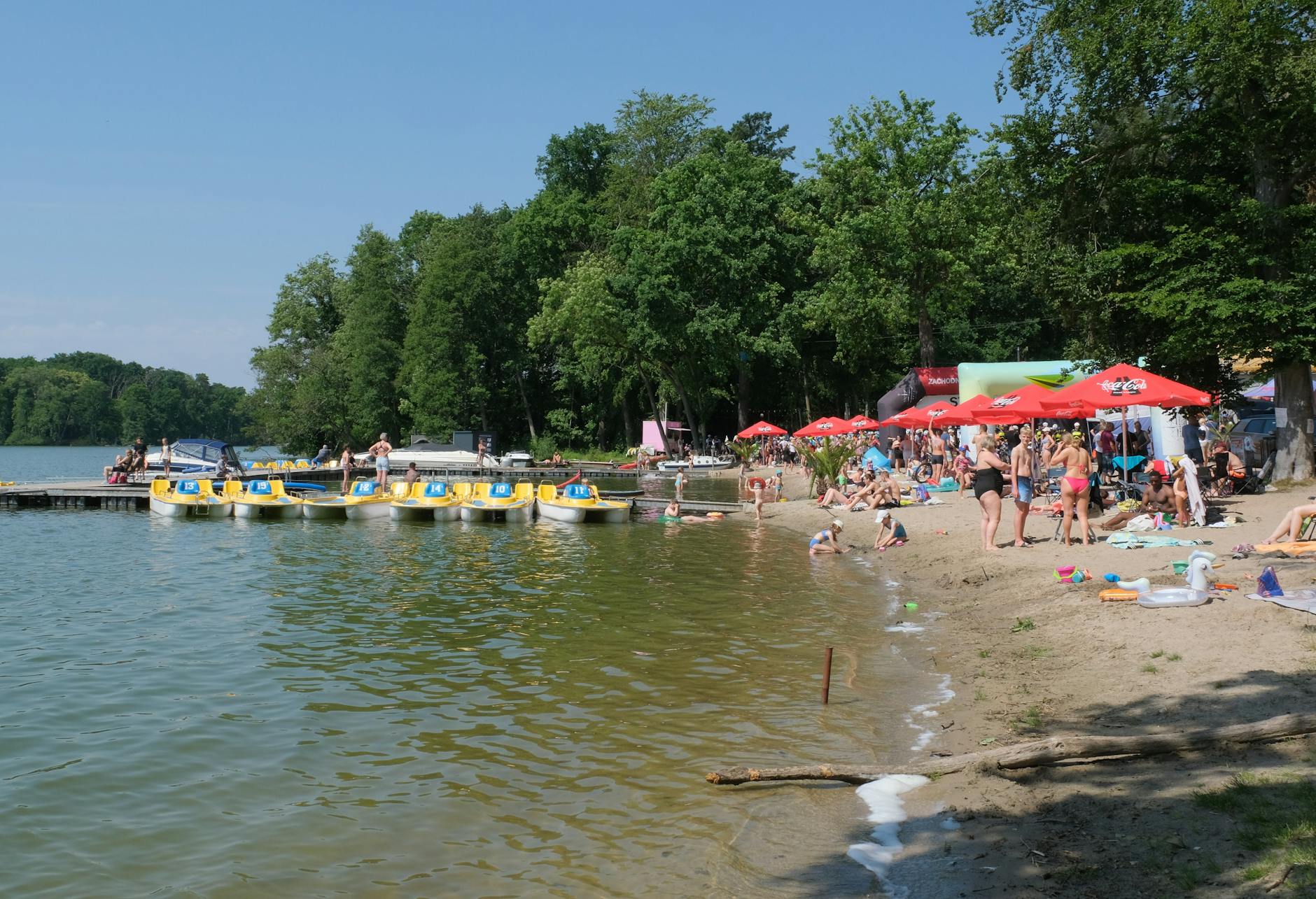 Obraz przedstawiający radosnych ludzi świętujących na tle lipnowskiego rynku podczas majówki.